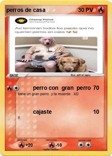 Pokemon perros de casa