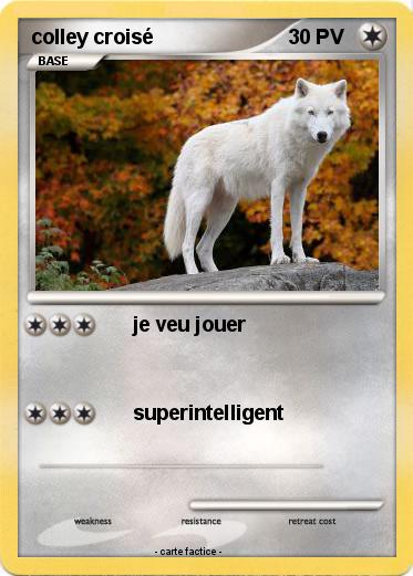 Pokemon colley croisé