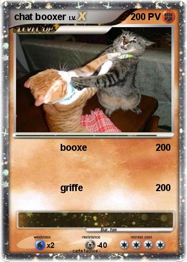 Pokemon chat booxer
