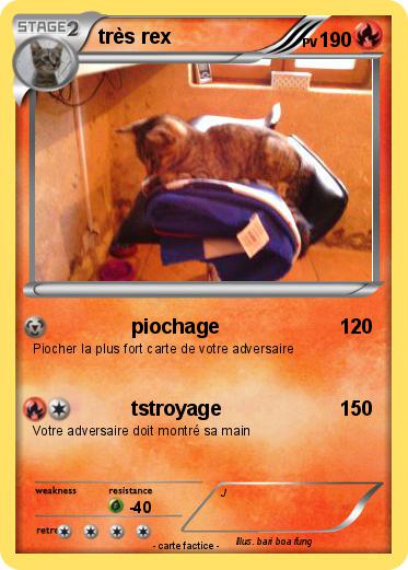 Pokemon très rex