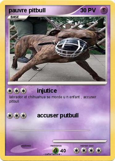 Pokemon pauvre pitbull