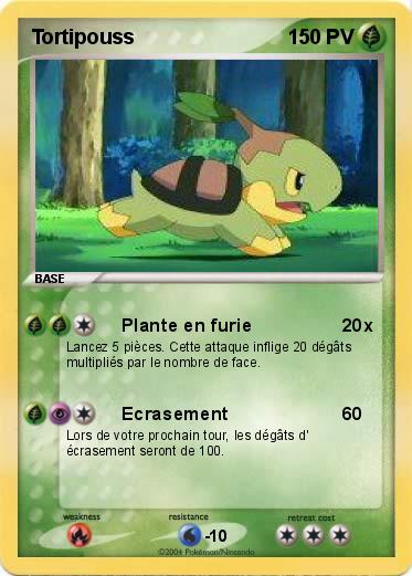 Pokemon Tortipouss