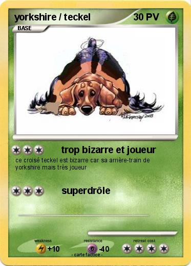 Pokemon yorkshire / teckel