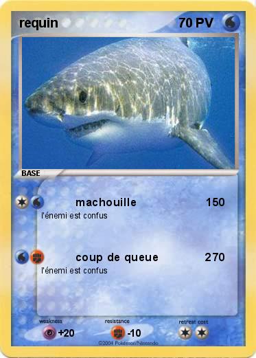 Pokemon requin