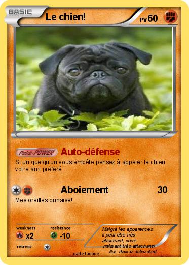 Pokemon Le chien!