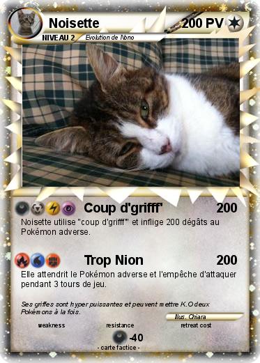 Pokemon Noisette