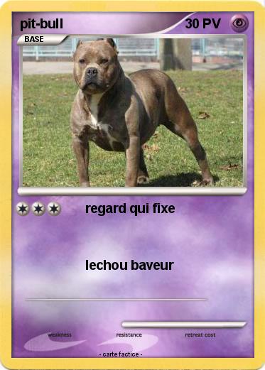 Pokemon pit-bull