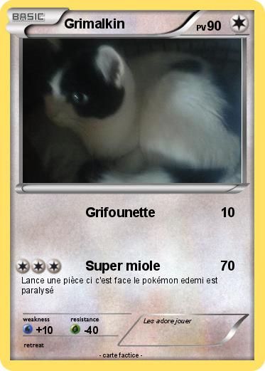 Pokemon Grimalkin