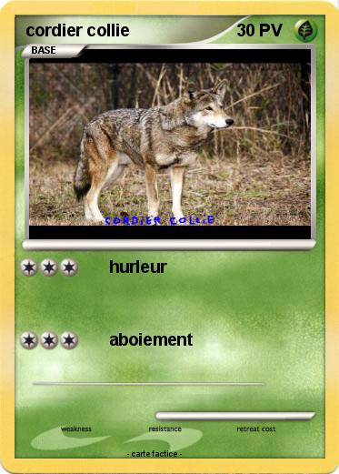 Pokemon cordier collie