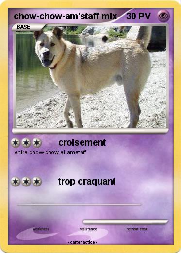 Pokemon chow-chow-am'staff mix