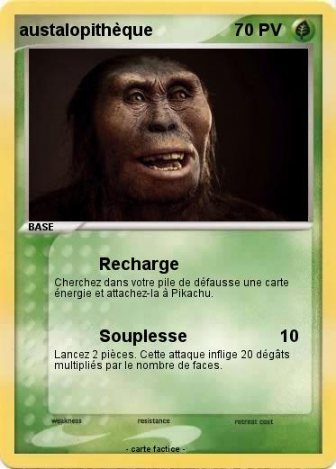Pokemon austalopithèque