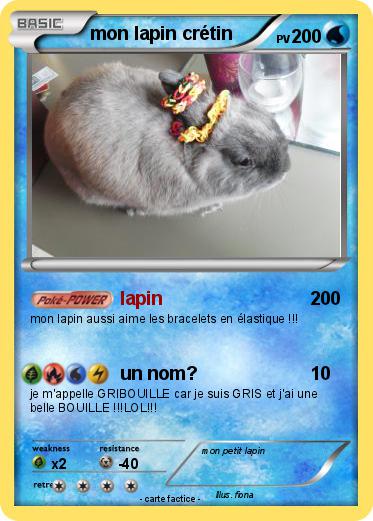 Pokemon mon lapin crétin