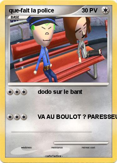 Pokemon que-fait la police