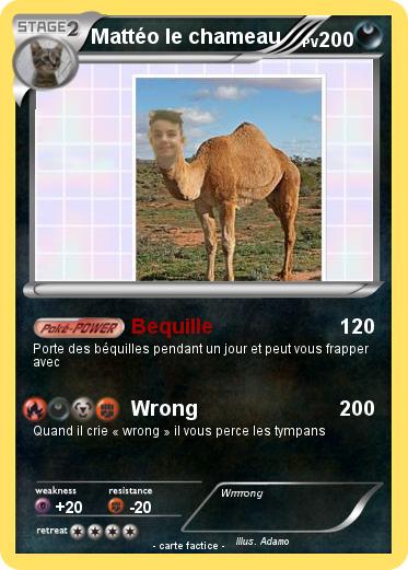 Pokemon Mattéo le chameau