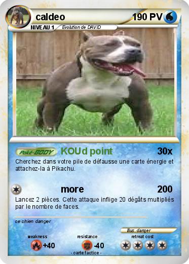 Pokemon caldeo