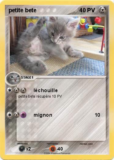 Pokemon petite bete