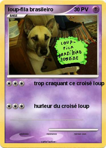 Pokemon loup-fila brasileiro