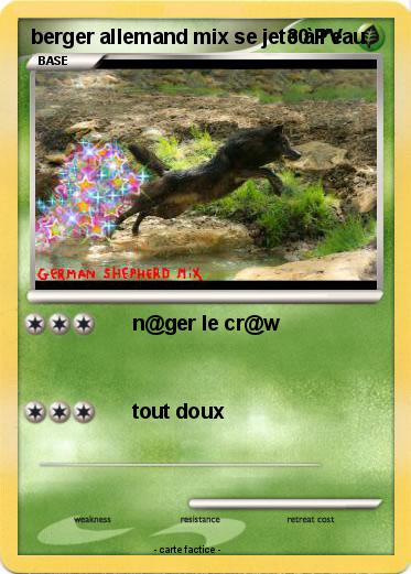 Pokemon berger allemand mix se jete à l'eau
