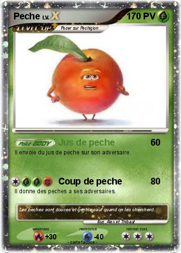 Pokemon Peche