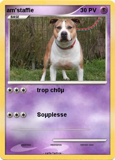 Pokemon am'staffie