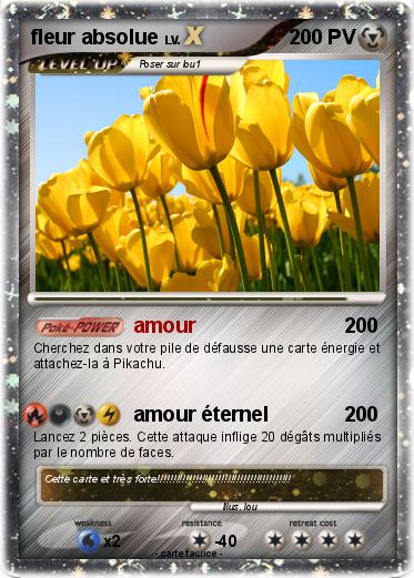 Pokemon fleur absolue