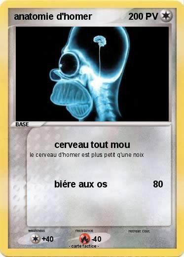 Pokemon anatomie d'homer