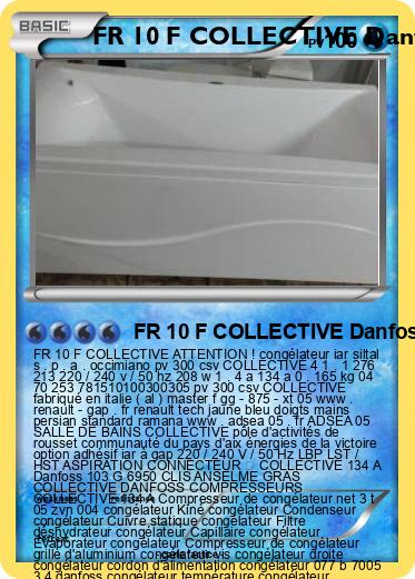 Pokemon FR 10 F COLLECTIVE Danfoss