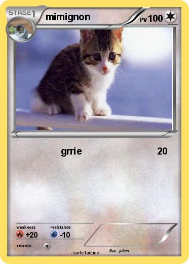Pokemon mimignon