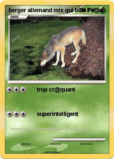 Pokemon berger allemand mix qui b0ie l'e@u