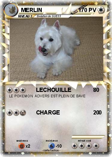 Pokemon MERLIN