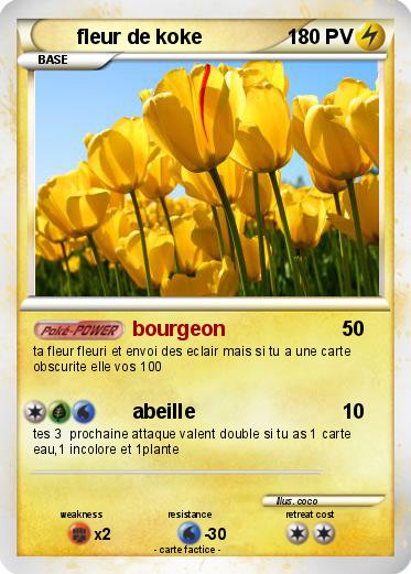 Pokemon fleur de koke