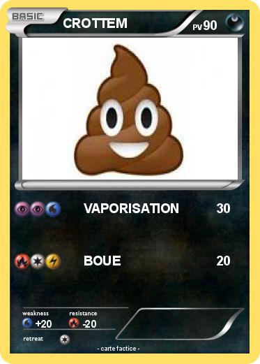 Pokemon CROTTEM