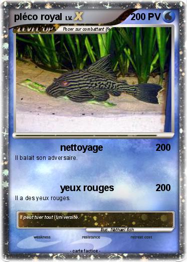 Pokemon pléco royal