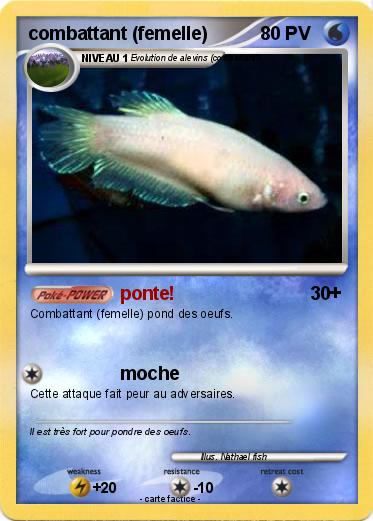 Pokemon combattant (femelle)