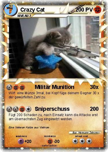 Pokemon Crazy Cat