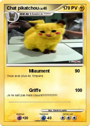 Pokemon Chat pikatchou