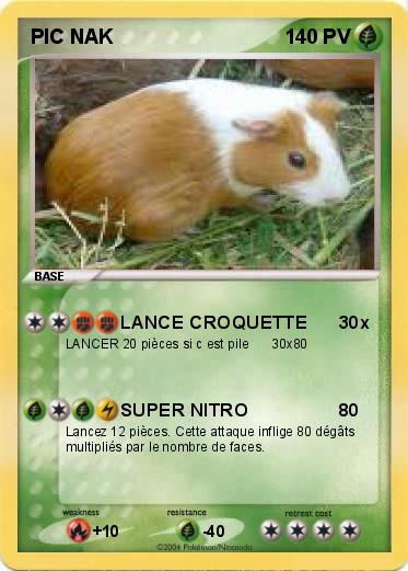 Pokemon PIC NAK