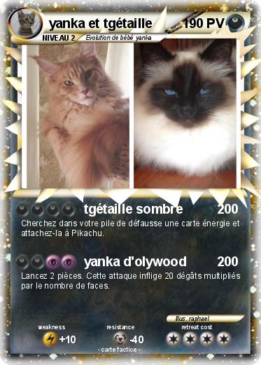 Pokemon yanka et tgétaille