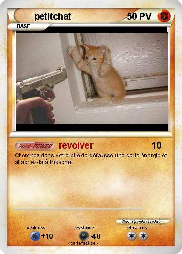 Pokemon petitchat