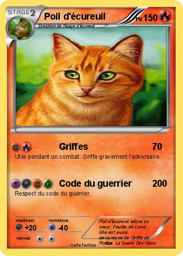 Pokemon Poil d'écureuil