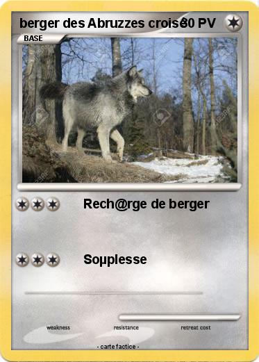 Pokemon berger des Abruzzes croisé