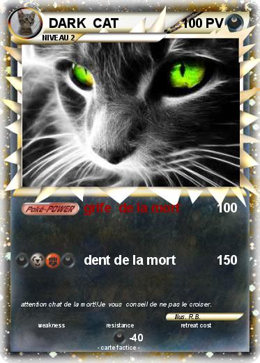 Pokemon DARK  CAT