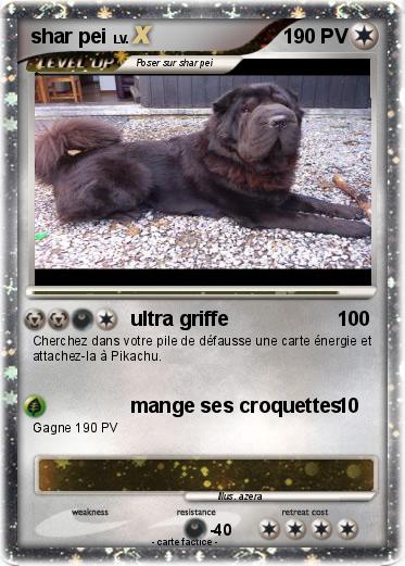 Pokemon shar pei