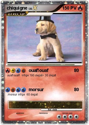 Pokemon chiquigne