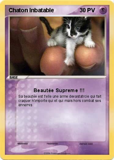 Pokemon Chaton Inbatable