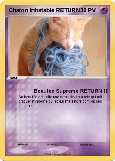 Pokemon Chaton Inbatable RETURN !