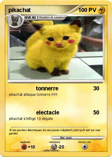 Pokemon pikachat