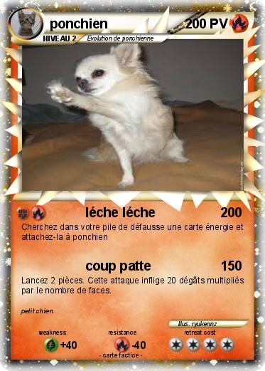 Pokemon ponchien