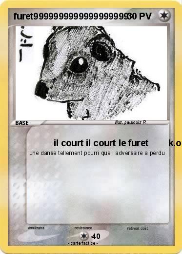 Pokemon furet9999999999999999999