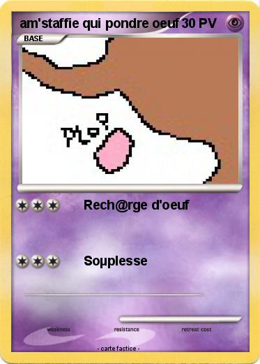 Pokemon am'staffie qui pondre oeuf